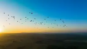 Wschód słońca nad jeziorem Iławki - zdjęcie 37