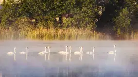 Miłośnicy Mazur - magia regionu na zdjęciach Marty Sotnik - zdjęcie 3