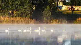 Miłośnicy Mazur - magia regionu na zdjęciach Marty Sotnik - zdjęcie 23
