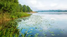 Miłośnicy Mazur - magia regionu na zdjęciach Marty Sotnik - zdjęcie 1