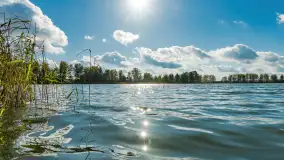 Jesień nad jeziorem Iławki, końcówka października 2023 r. - zdjęcie 22