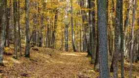 Złota mazurska jesień w Mrągowie nad jeziorem Juno - zdjęcie 36