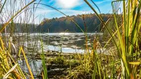 Złota mazurska jesień w Mrągowie nad jeziorem Juno - zdjęcie 35