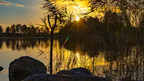 Jesień nad jeziorem Iławki, październik 2023 r. - zdjęcie 21