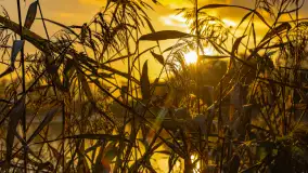 Jesień nad jeziorem Iławki, październik 2023 r. - zdjęcie 17