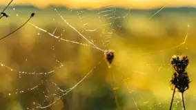 Przyrodniczy wschód słońca nad jeziorem Mażańskie - zdjęcie 22