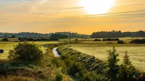 Przyrodniczy wschód słońca nad jeziorem Mażańskie - zdjęcie 13