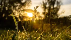 Przyrodniczy wschód słońca nad jeziorem Mażańskie - zdjęcie 23