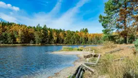 Magia mazurskiej jesieni nad jeziorem Wesołek, listopad 2023 r. - zdjęcie 11