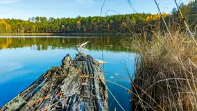 Magia mazurskiej jesieni nad jeziorem Wesołek, listopad 2023 r. - zdjęcie 47