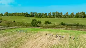 Żurawi sejmik na początku września przy jeziorze Tajty - zdjęcie 12