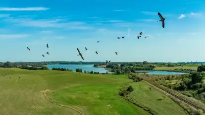 Żurawi sejmik na początku września przy jeziorze Tajty