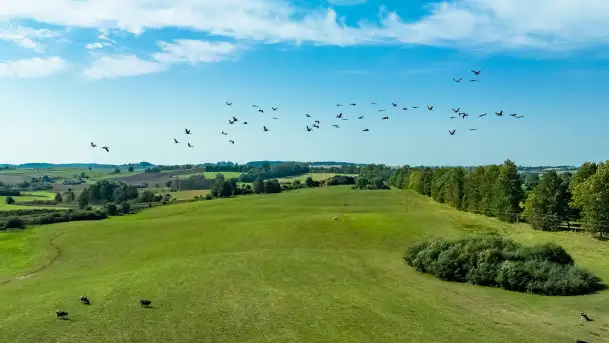 Żurawi sejmik na początku września przy jeziorze Tajty - zdjęcie 3