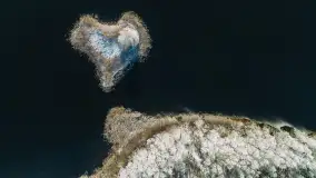 Zimowa wersja Mazur w okolicach Łabędziego Ostrowia i jeziora Kisajno - zdjęcie 18