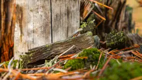 Fotograficzne podsumowanie jesieni 2023 cz. I - zdjęcie 41