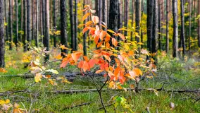Fotograficzne podsumowanie jesieni 2023 cz. I - zdjęcie 4