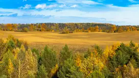 Fotograficzne podsumowanie jesieni 2023 cz. I - zdjęcie 54