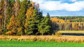 Fotograficzne podsumowanie jesieni 2023 cz. I - zdjęcie 19