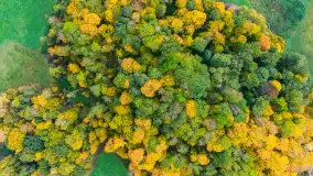 Fotograficzne podsumowanie jesieni 2023 cz. II - zdjęcie 29