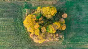 Fotograficzne podsumowanie jesieni 2023 cz. II - zdjęcie 56