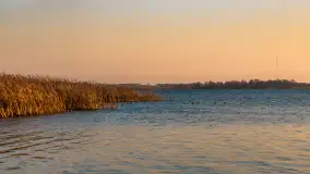 Zachód nad jeziorem Niegocin, listopad 2023 r. - zdjęcie 16