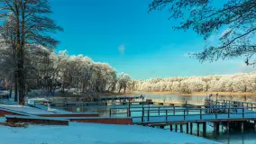 Zima w porcie Łabędzi Ostrów w Pięknej Górze, listopada 2023 r. - zdjęcie 29