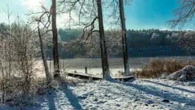 Zima w porcie Łabędzi Ostrów w Pięknej Górze, listopada 2023 r. - zdjęcie 24