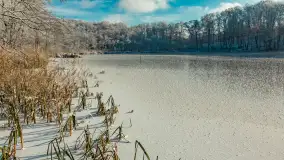 Zima w porcie Łabędzi Ostrów w Pięknej Górze, listopada 2023 r. - zdjęcie 39