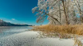 Zima w porcie Łabędzi Ostrów w Pięknej Górze, listopada 2023 r. - zdjęcie 10