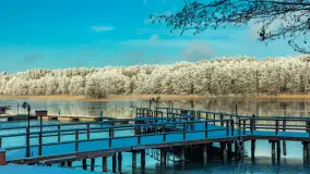 Zima w porcie Łabędzi Ostrów w Pięknej Górze, listopada 2023 r. - zdjęcie 26