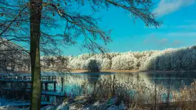 Zima w porcie Łabędzi Ostrów w Pięknej Górze, listopada 2023 r. - zdjęcie 42