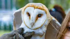 Fotorelacja ze Święta Ziemniaka w Mazurskim raju, październik 2023 r. - zdjęcie 74