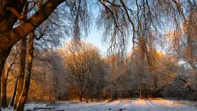 Zimowy zachód słońca nad jeziorem Mój, listopad 2023 r. - zdjęcie 39