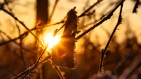 Zimowy zachód słońca nad jeziorem Mój, listopad 2023 r. - zdjęcie 23