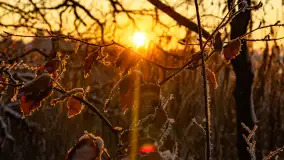 Zimowy zachód słońca nad jeziorem Mój, listopad 2023 r. - zdjęcie 9