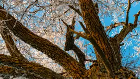 Zimowy zachód słońca nad jeziorem Mój, listopad 2023 r. - zdjęcie 19