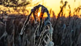 Zimowy zachód słońca nad jeziorem Mój, listopad 2023 r. - zdjęcie 6