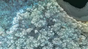 Zimowy zachód słońca nad jeziorem Mój, listopad 2023 r. - zdjęcie 24