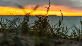 Cieniutki... zachód słońca nad jeziorem Dargin, listopad 2023 - zdjęcie 6