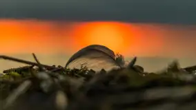 Cieniutki... zachód słońca nad jeziorem Dargin, listopad 2023 - zdjęcie 16