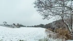 Zwalony most w Kruklankach w zimowej scenerii... bez słońca, listopad 2023 r. - zdjęcie 22