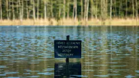 Wiosna w lesie przy Nowym Harszu, maj 2023 r. - zdjęcie 18