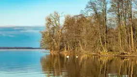 Jesienny biwak ekipy Mazury24 nad Darginem, listopad 2023 r. - zdjęcie 11