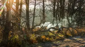 Jesienny biwak ekipy Mazury24 nad Darginem, listopad 2023 r. - zdjęcie 3