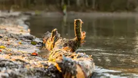 Jesienny biwak ekipy Mazury24 nad Darginem, listopad 2023 r. - zdjęcie 42