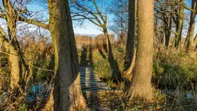 Jesienny biwak ekipy Mazury24 nad Darginem, listopad 2023 r. - zdjęcie 40