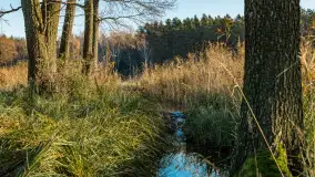 Jesienny biwak ekipy Mazury24 nad Darginem, listopad 2023 r. - zdjęcie 41