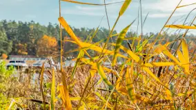 Jesień w Mazurskim Raju nad jeziorem Bełdany, listopad 2023 r. - zdjęcie 14