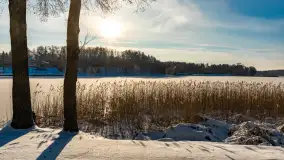 Stranda w mrozie i śniegu, styczeń 2024 r. - zdjęcie 24