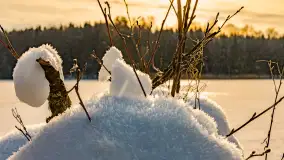 Zimowy spacer nad jeziorem Gołdopiwo niedaleko Żabinki, styczeń 2024 r. - zdjęcie 10